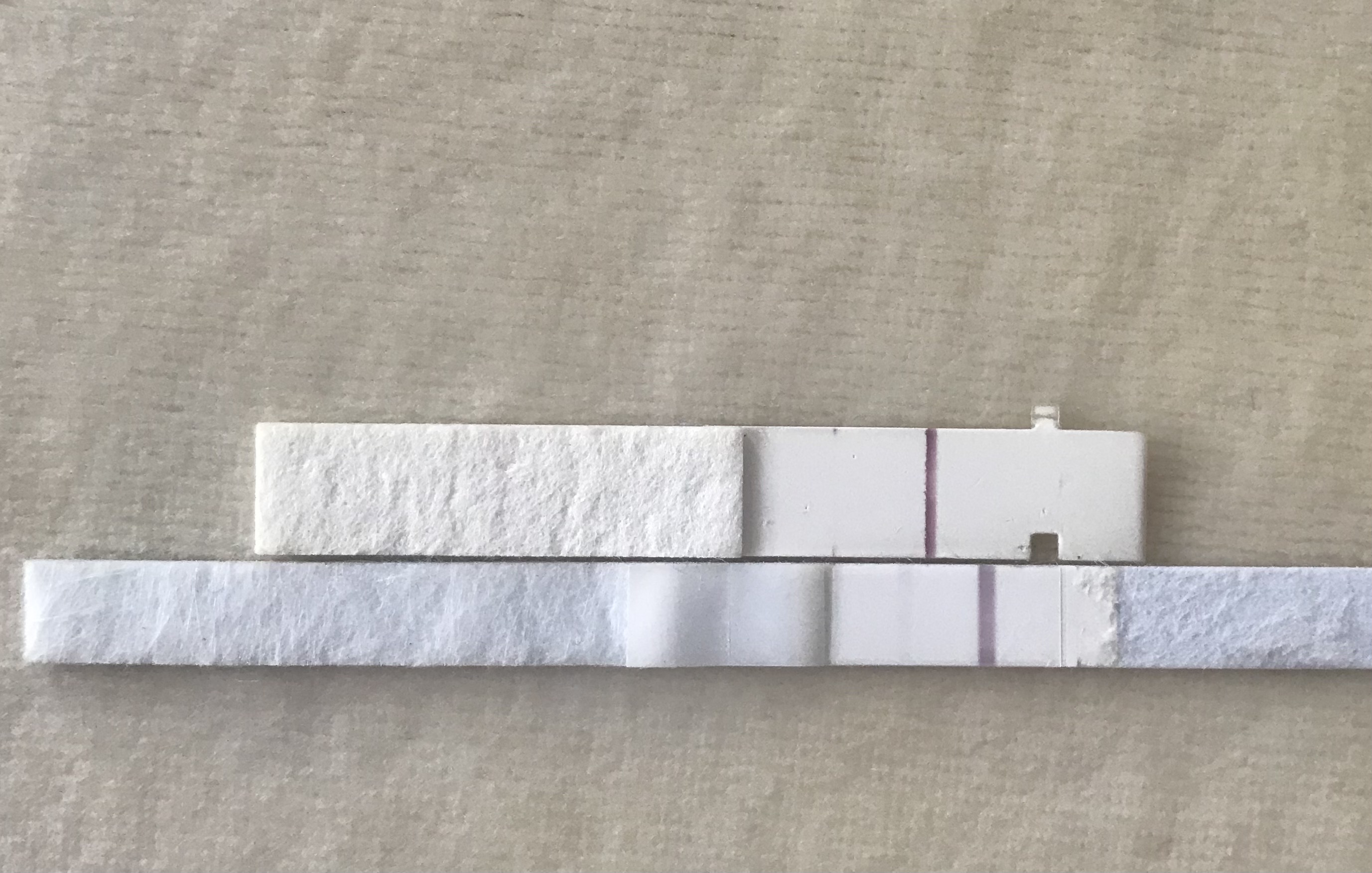 Evap lines First Response and Clear & Simple