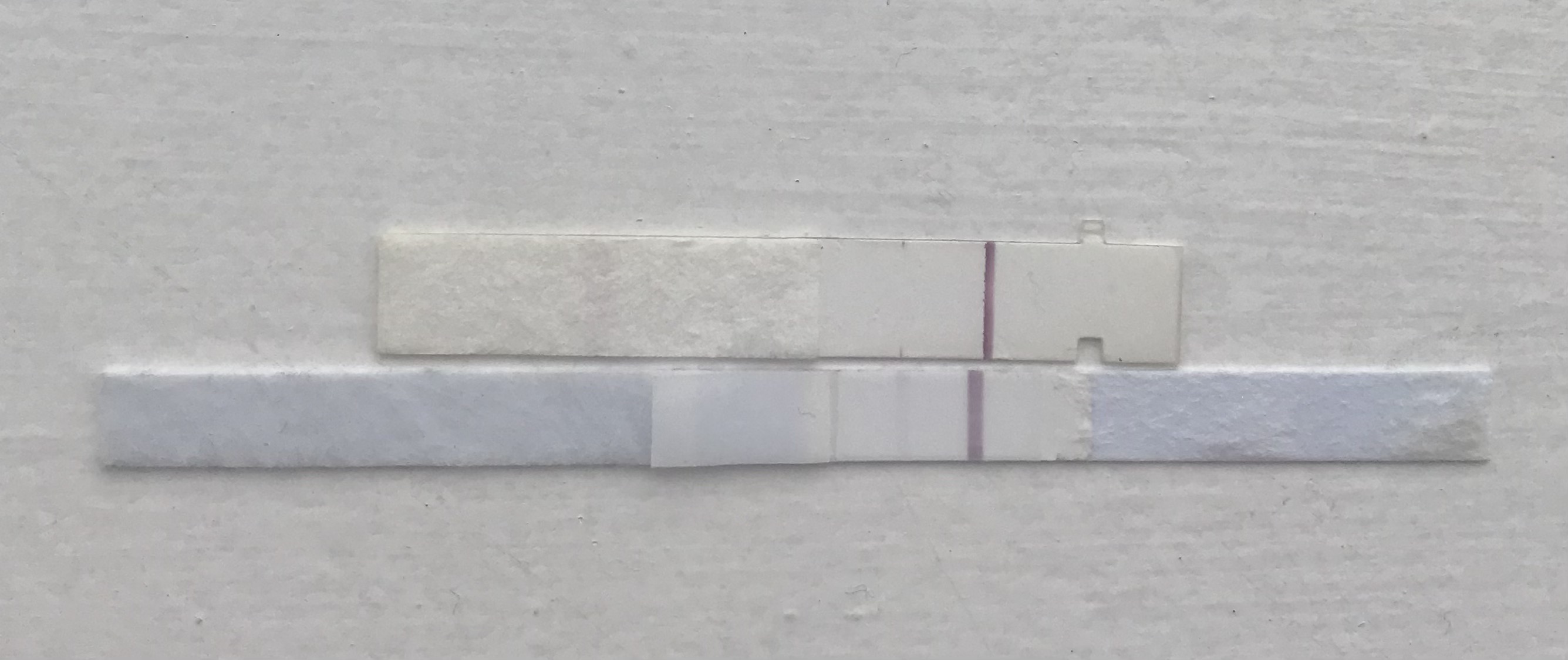 Evap lines First Response and Clear & Simple